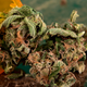 Image for article titled Study Finds Medical Marijuana Effective For Treating Long-Term Pain Over Jerry Garcia’s Death